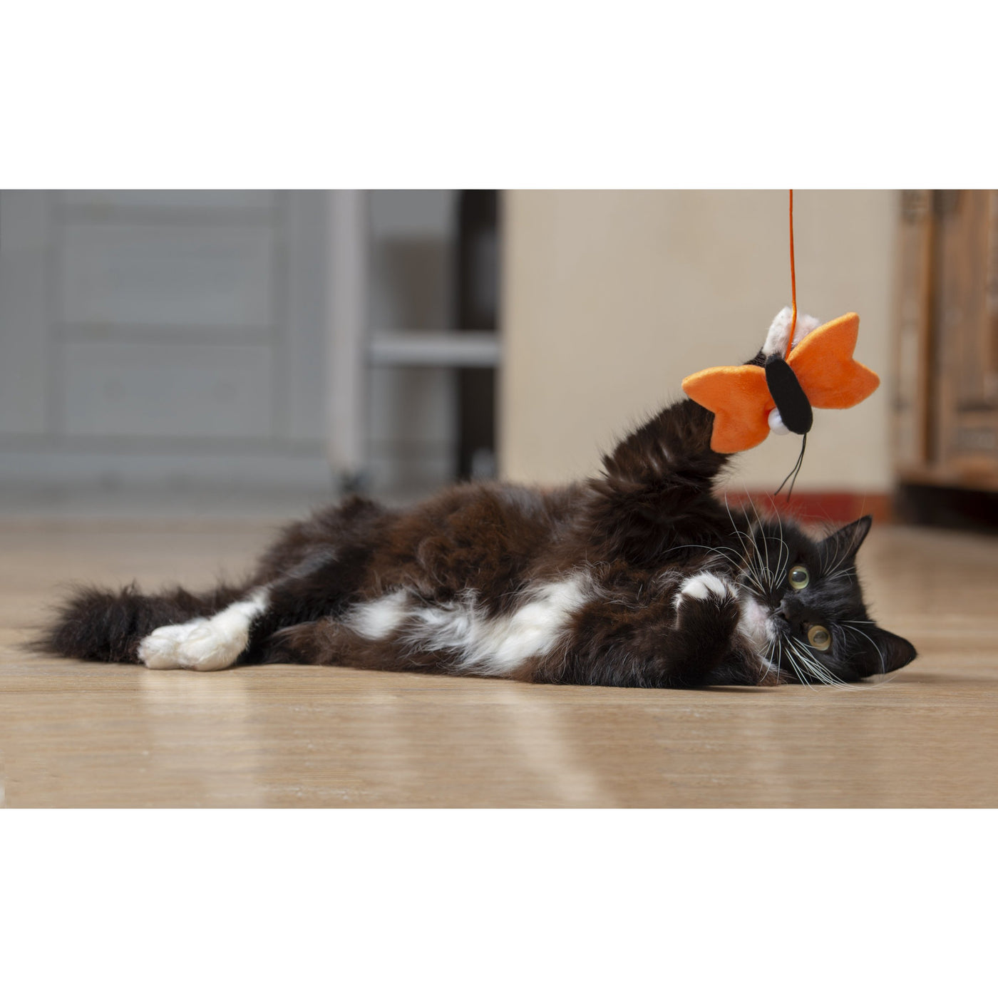 butterfly cat toy wand