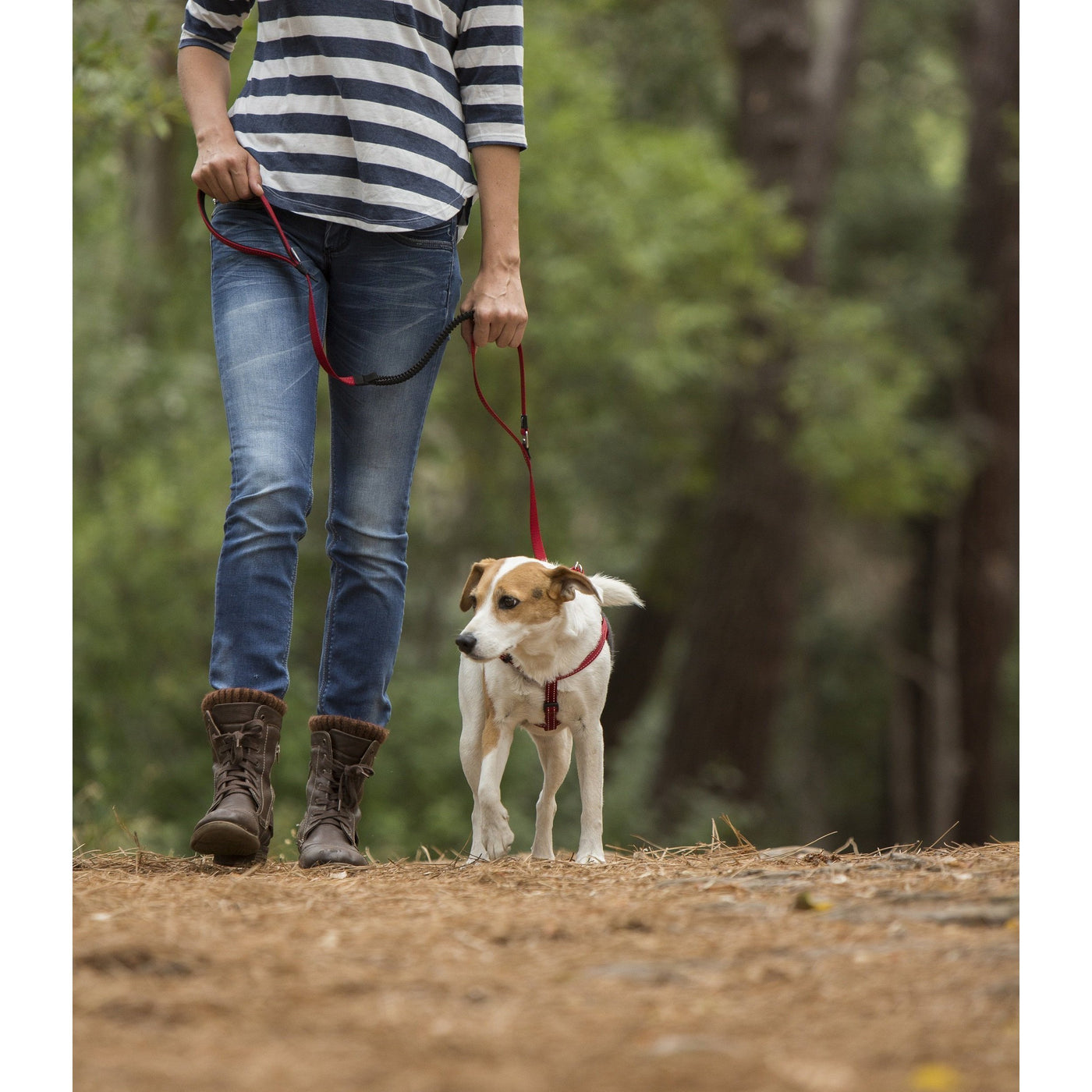 extra strong long dog lead