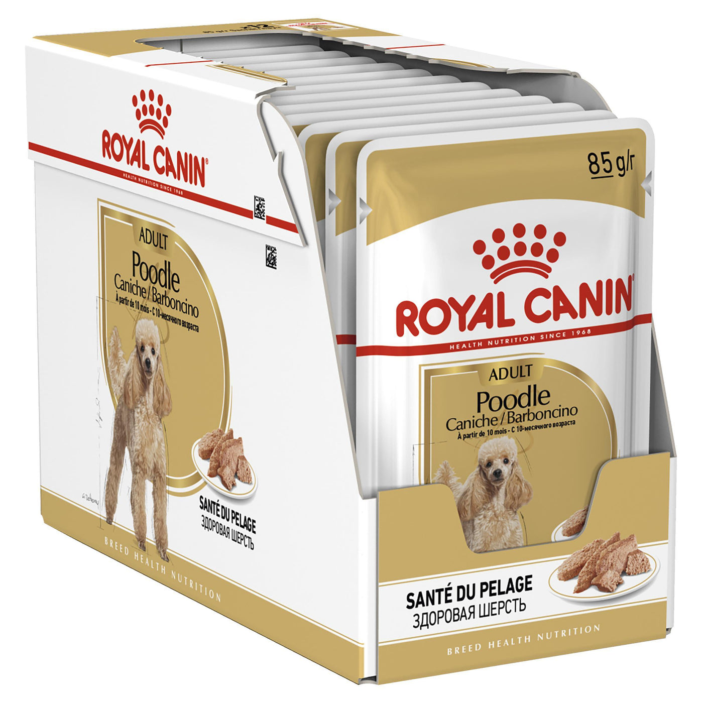 poodle caniche royal canin