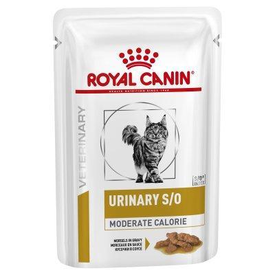 royal canin so dry food