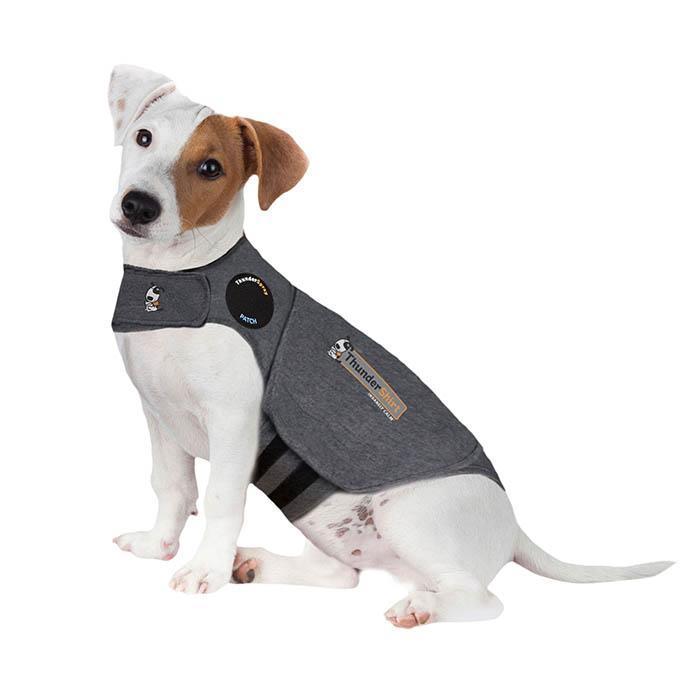 thundershirt dog anxiety