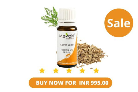 Carrot Seed Essential Oil