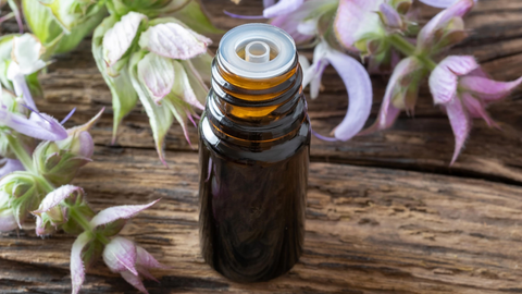 Clary Sage essential oil