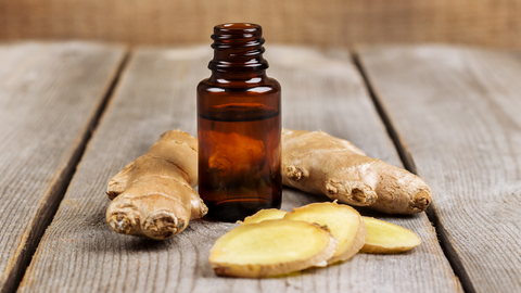 Ginger Essential Oil