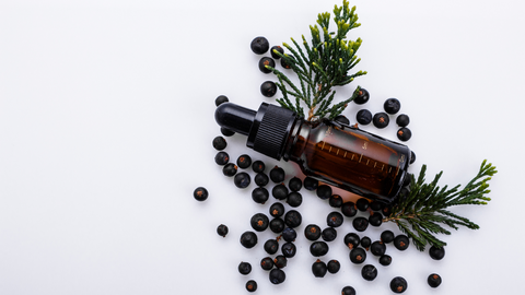 Juniper Berry Essential Oil