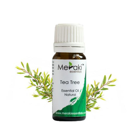 tea tree Essential Oil