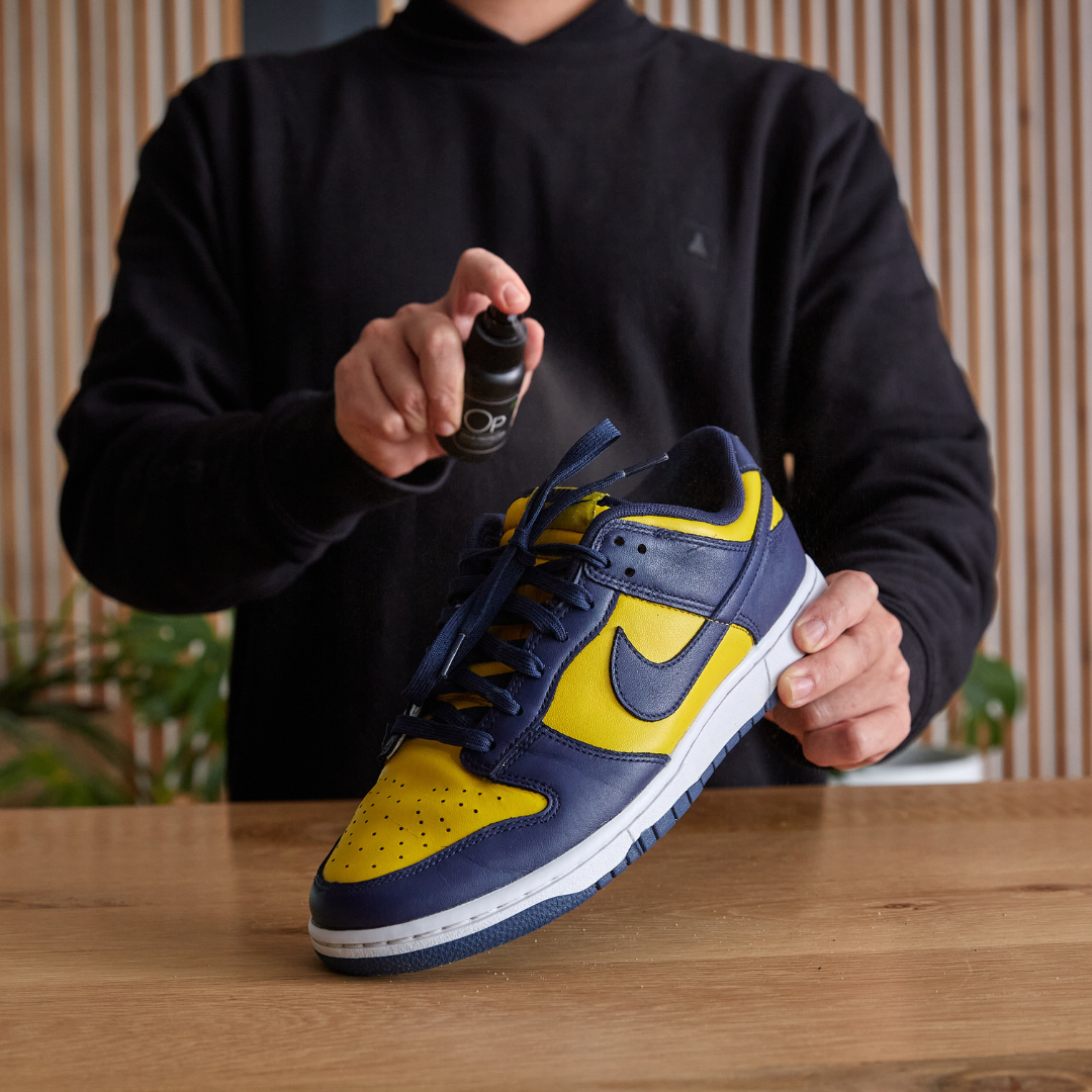 Sneaker LAB Odor Protector Nike Dunk