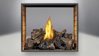 Napoleon High Definition 81 See Thru Direct Vent Fireplace