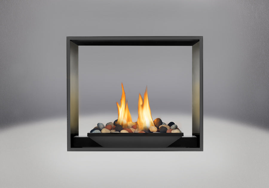 Napoleon High Definition 81 See Thru Direct Vent Fireplace