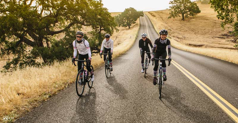 ladybikes-damenräder-damenfahrrad