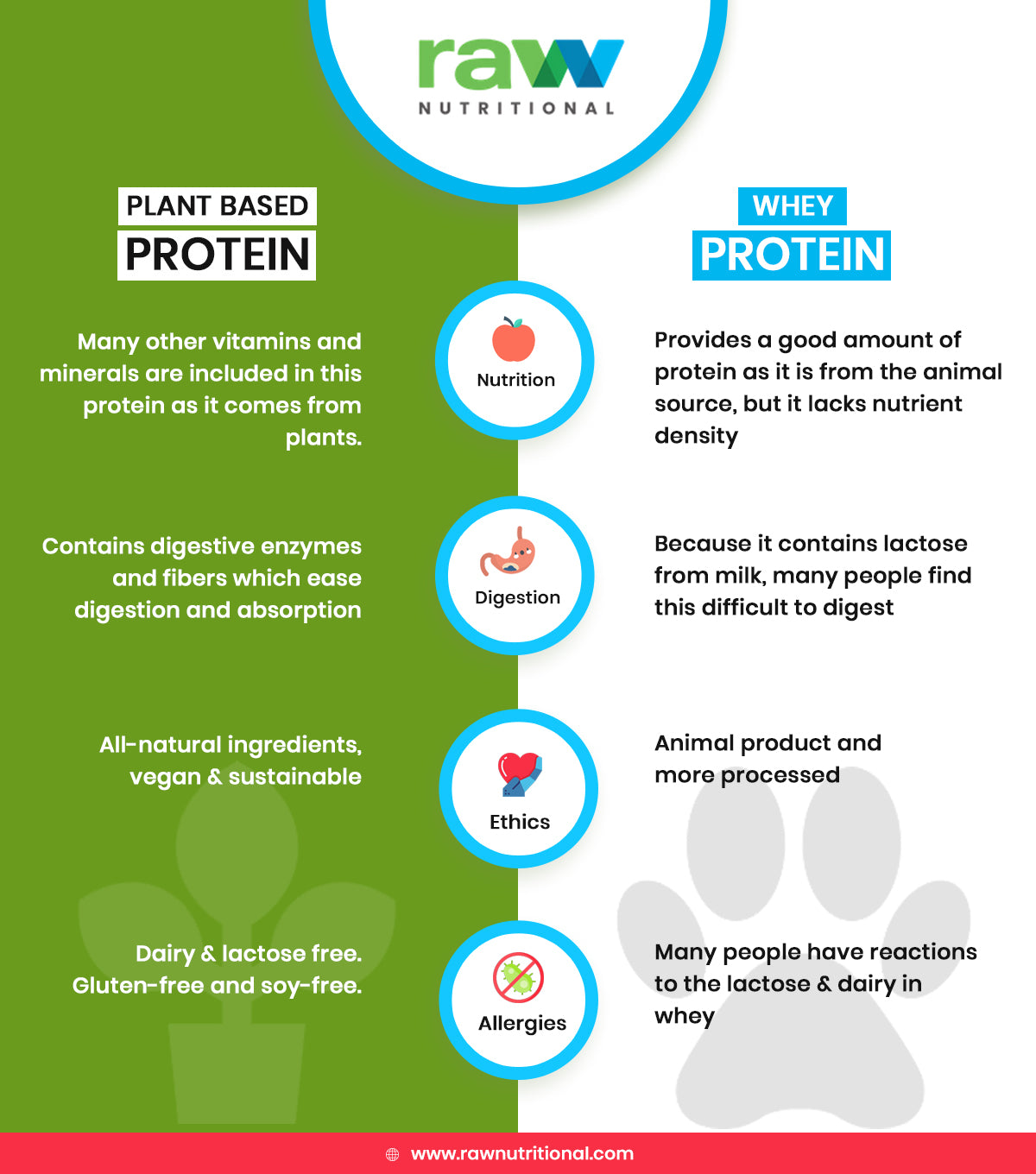 Get Answer to All Your Doubts About Vegan Protein Powder - RawNutritional