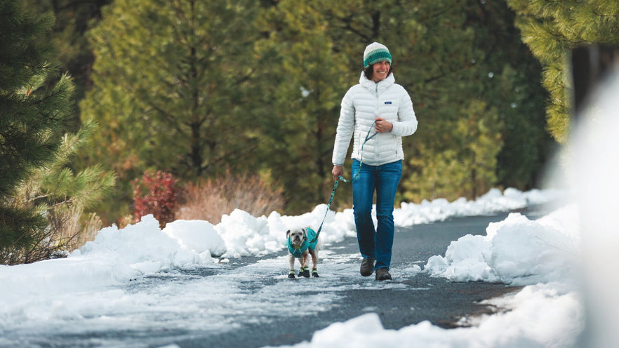 dog hiking boots