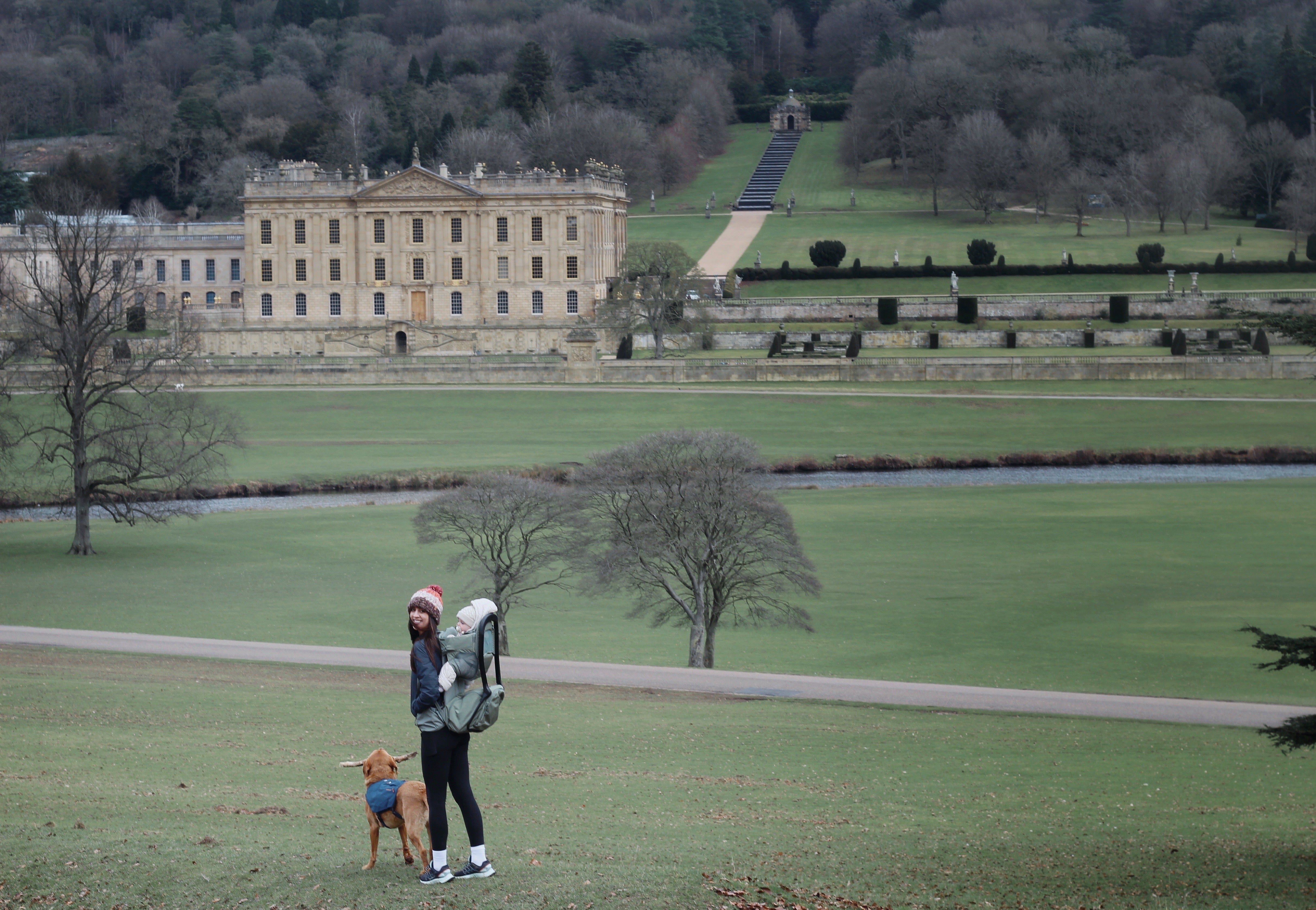 Woman with baby in baby carrier and dog walking alongside