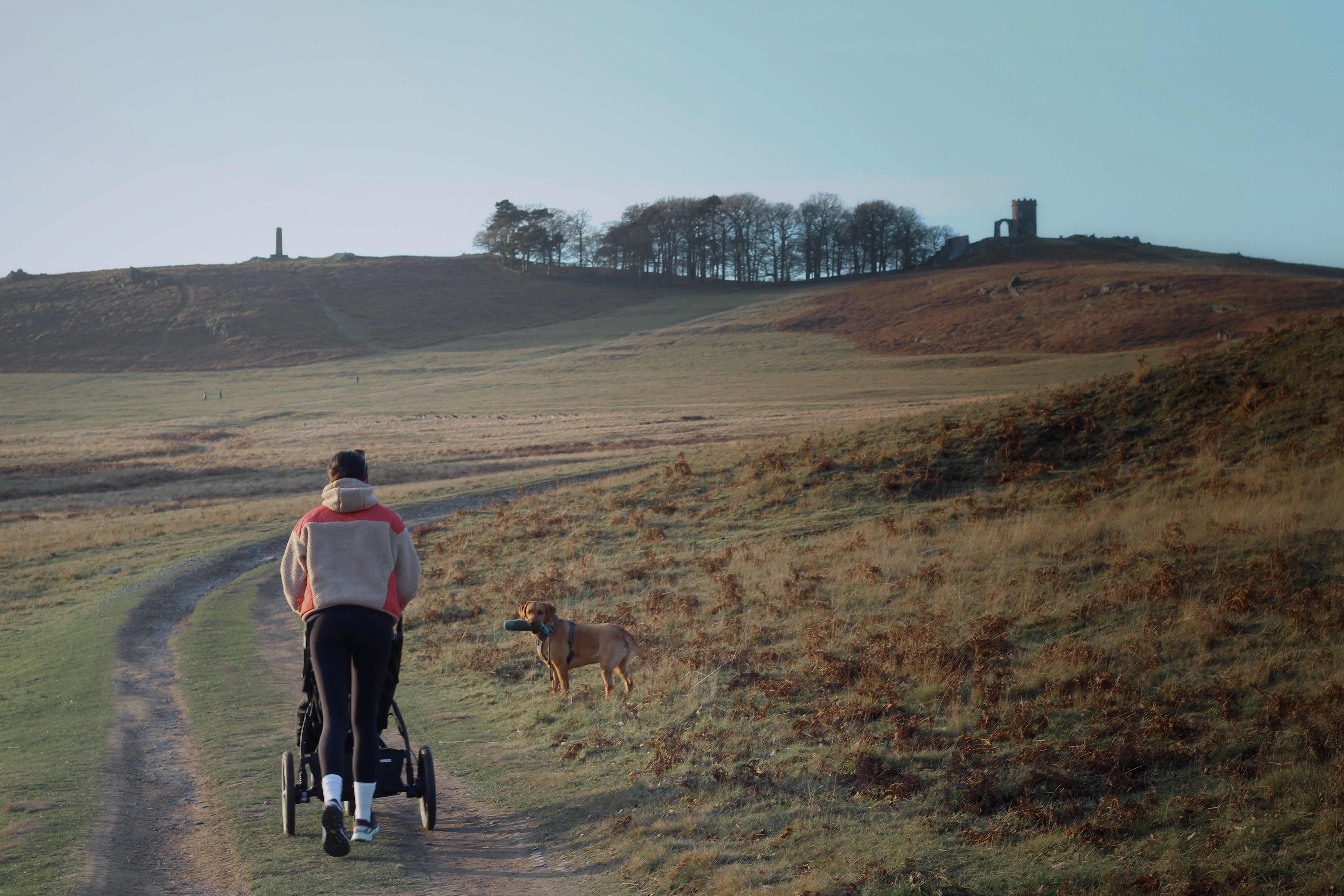 Woman pushing stroller in a field with a dog leading the way