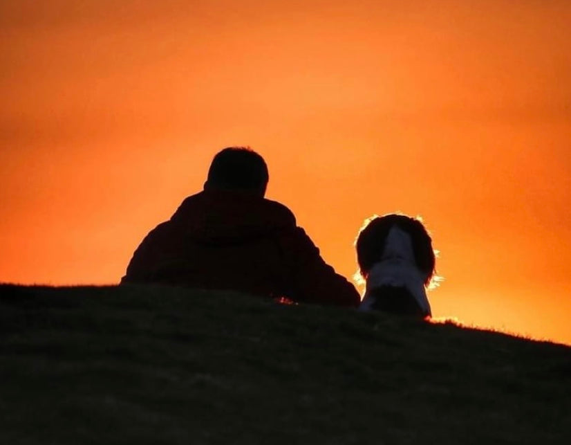 Kerry and his dog, Max, sit on a hillside looking out at an orange sunset. 
