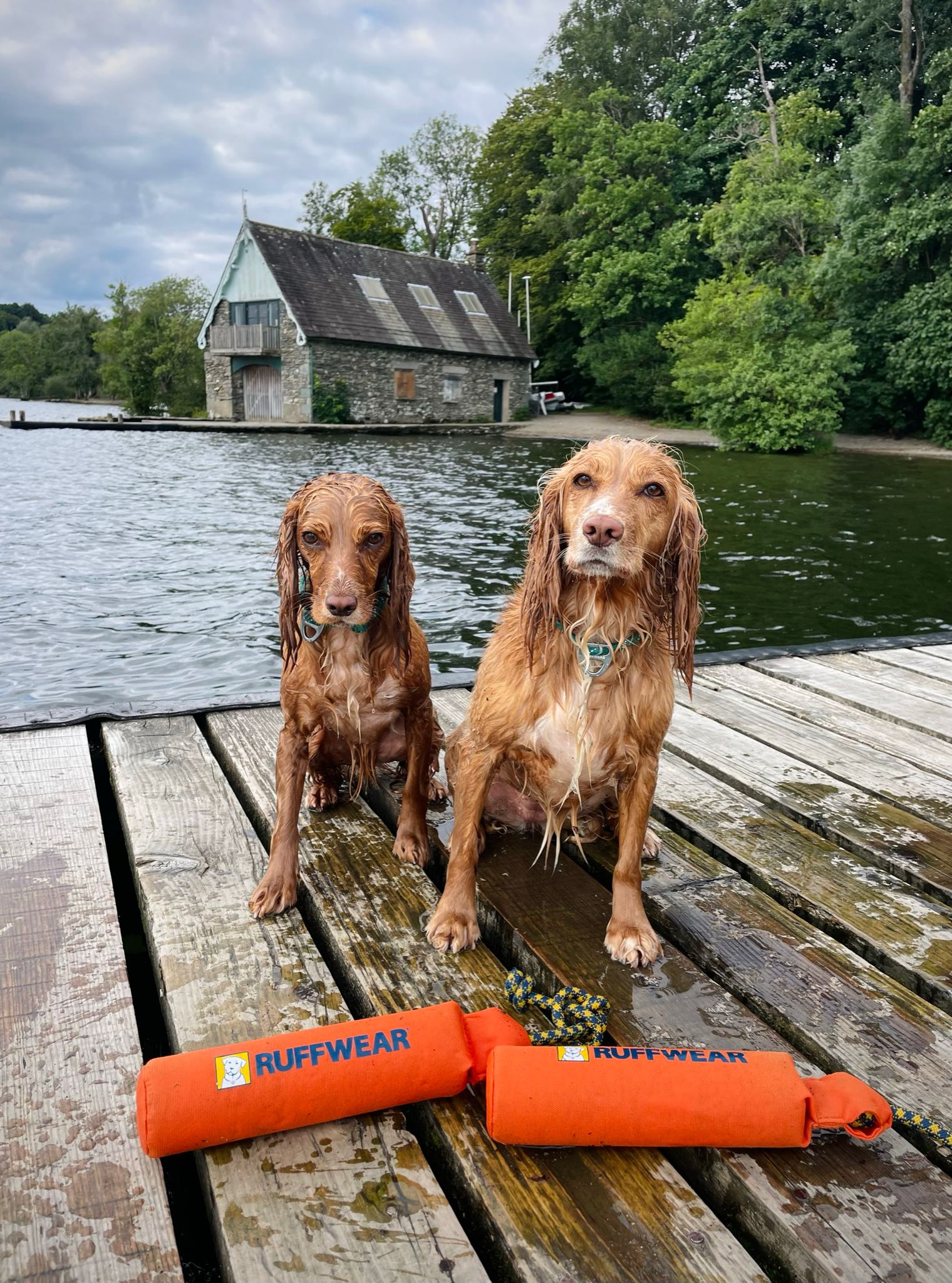 Lulu and Foxy sitting with orange Ruffwear Lunker Toys on a jetty after being swimming. They are quite wet and looking at the camera.