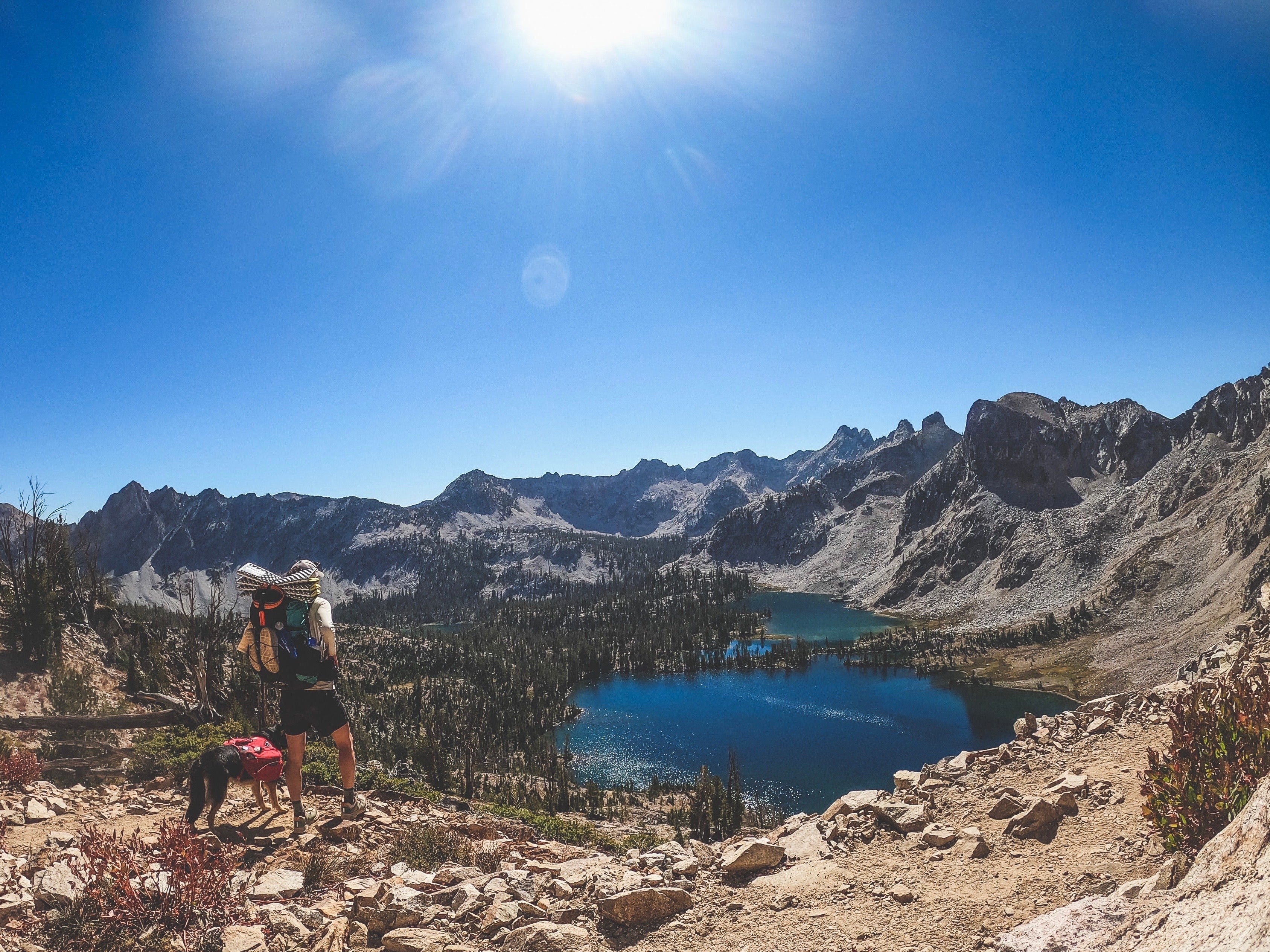 Human and dog overlooking a lake basin while backpacking