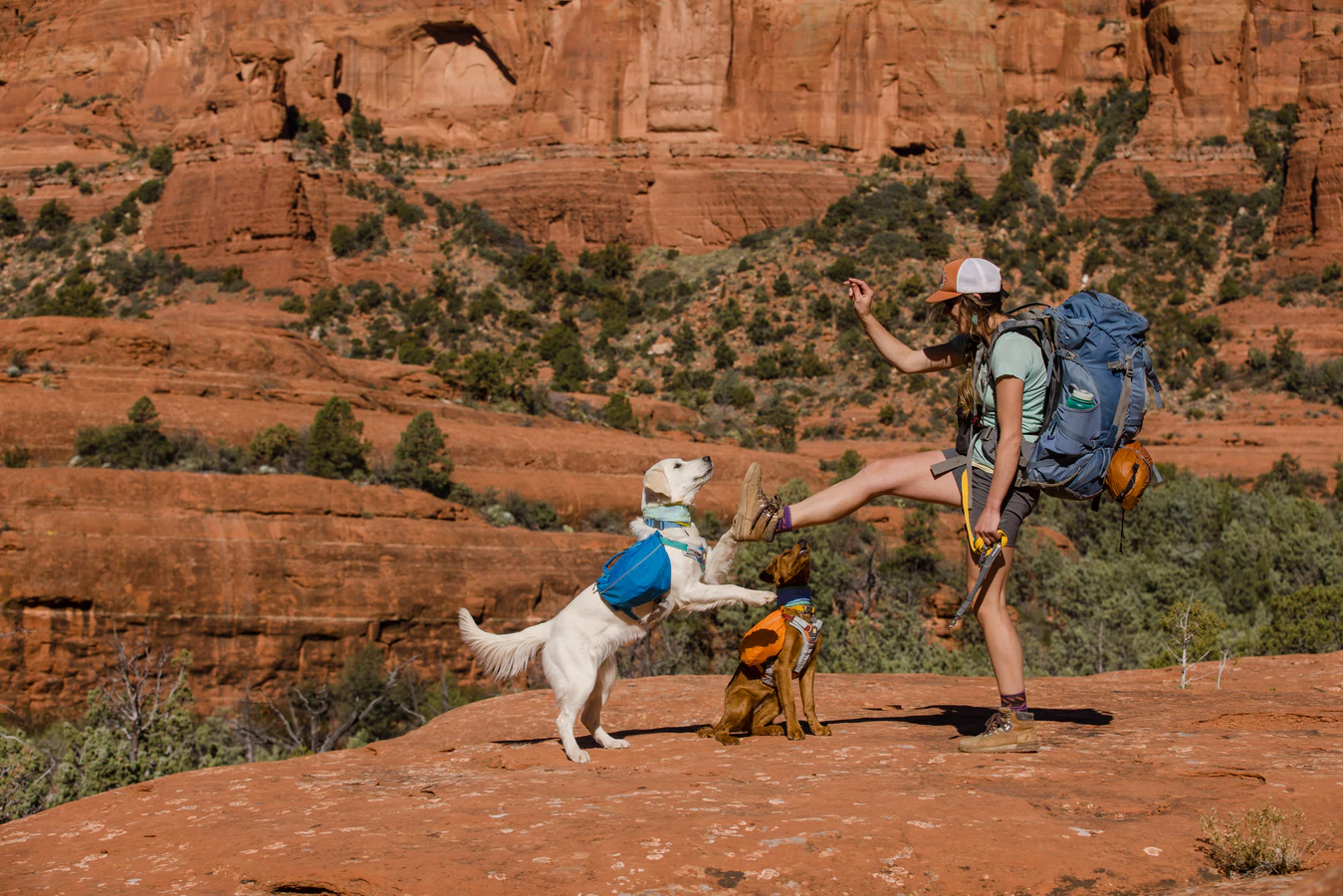 Woman with two dogs backpacking in the desert