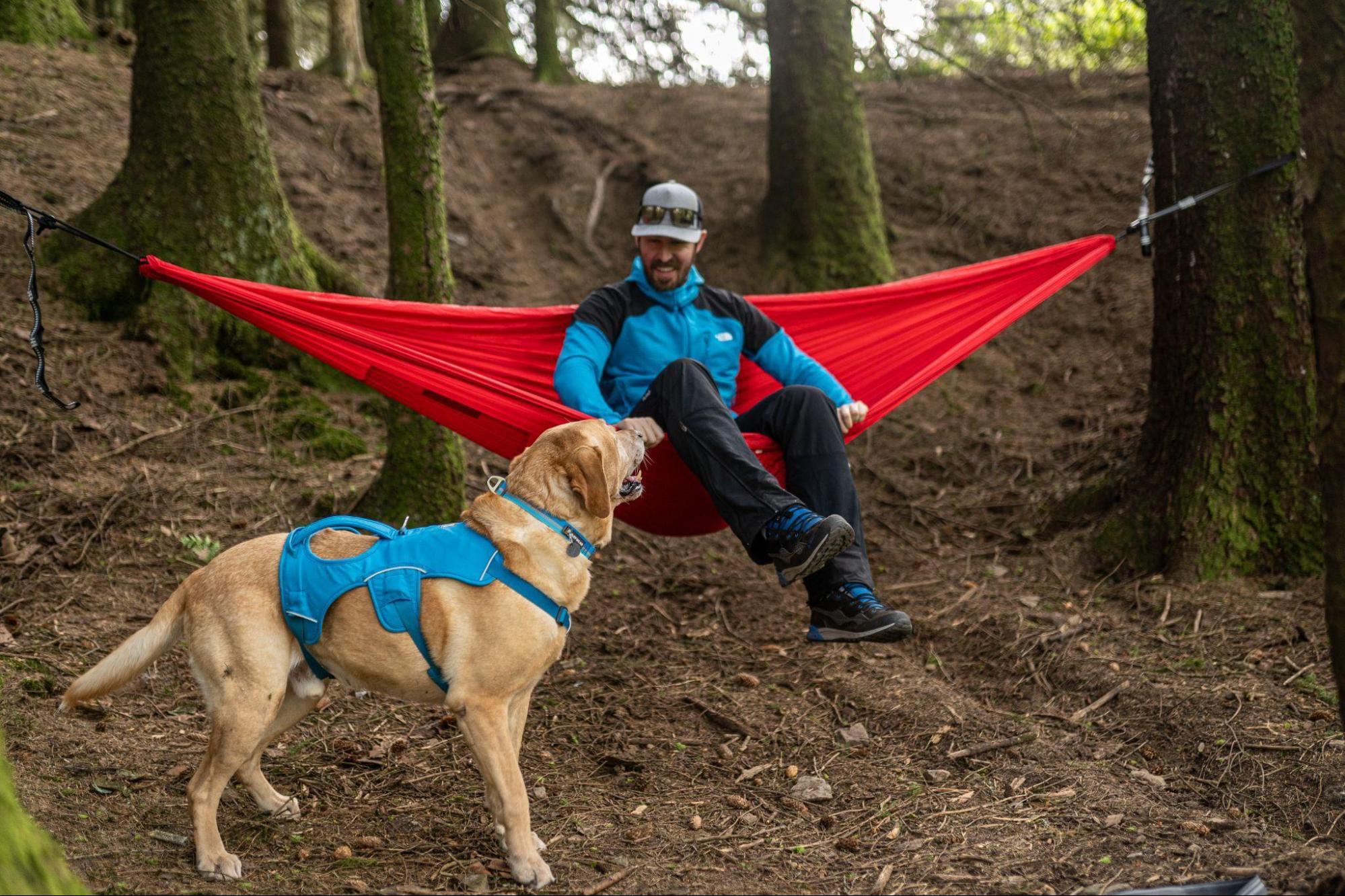 A man sits in a hammock next to his dog on a backpacking trip.