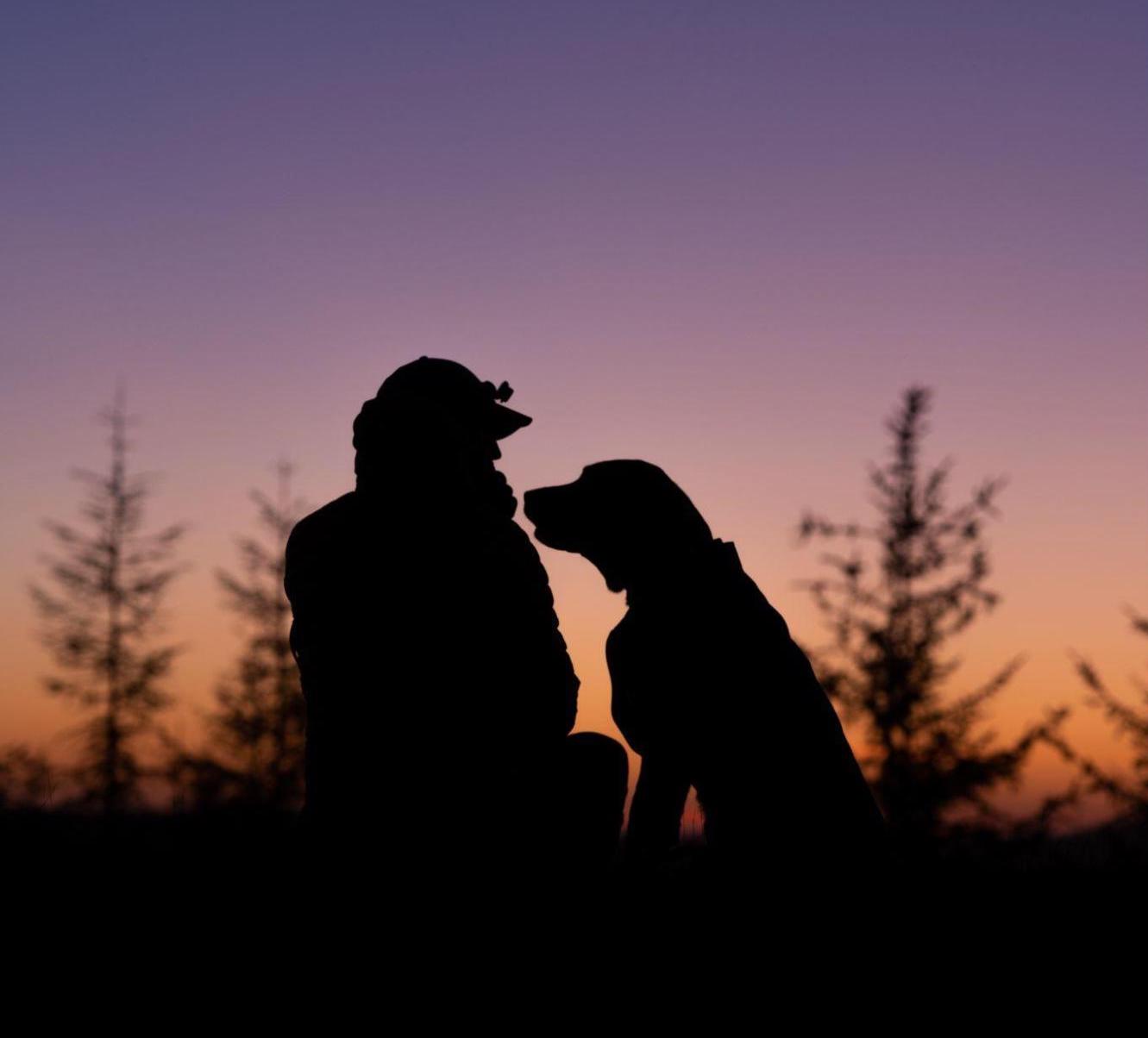 A man and his dog sit in nature and watch the sunset.