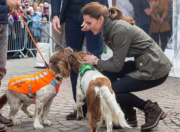 Kate Middleton reaches down to pet Max, a famous Springer Spaniel dog. 