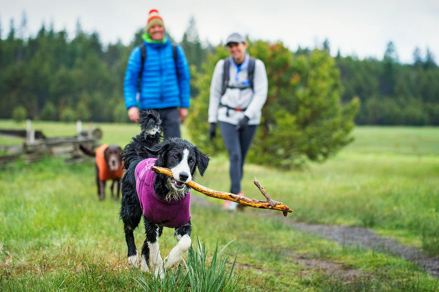 ruffwear sweater