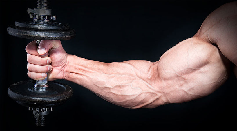 Keep anabolic during cardio by taking leucine-enriched essential amino acids!