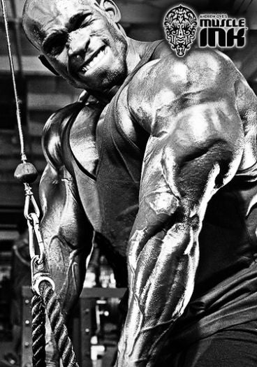 Andrew Oyes Ifbb Pro Contest Report Ifbb Pro Al Auguste Aces First P Prosource