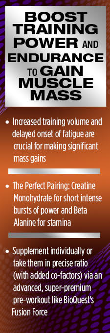 Power Peak Performance with a Beta Alanine and Creatine Combo