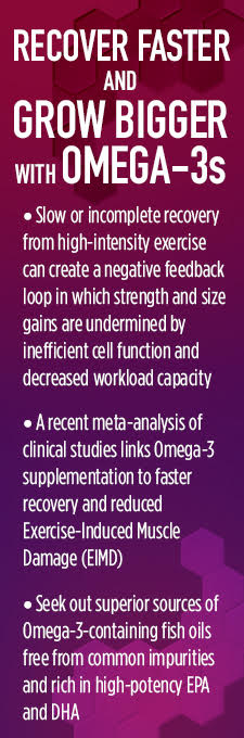 Recover Faster and Grow Bigger with Omega-3s