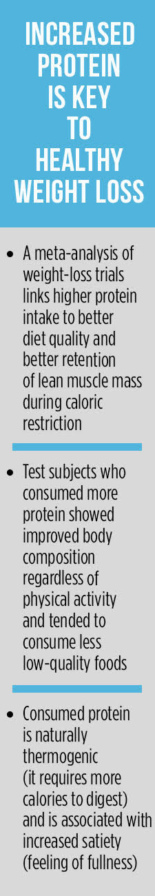 Increased Protein Is Key to Healthy Weight Loss