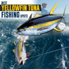 Best Yellowfin Tuna Fishing Spots