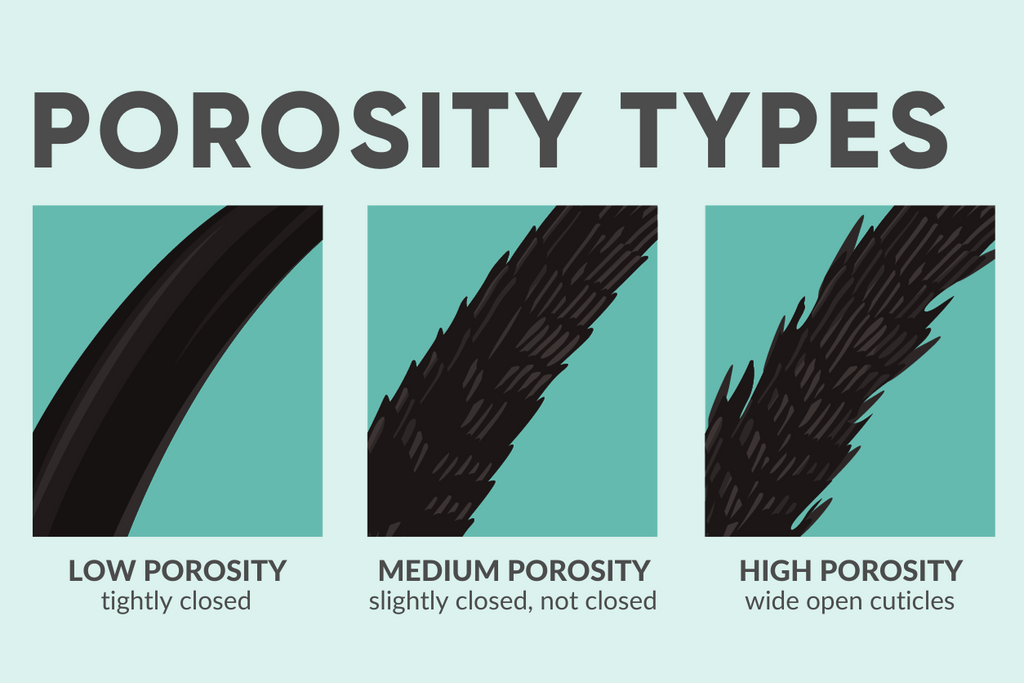 Hair Porosity Types