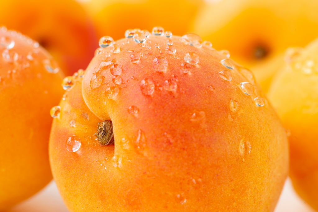 Cleansing Oil Shampoo Ingredient Highlight - Apricot Kernel Oil