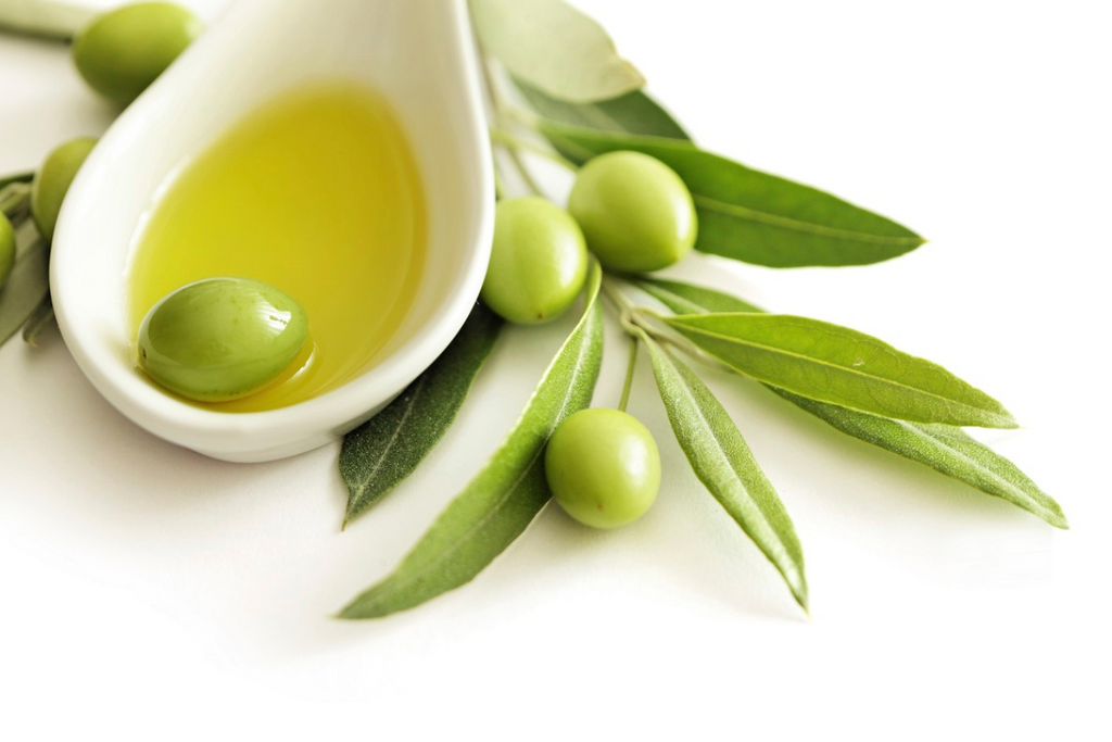 Key Ingredients in Cleansing Oil Shampoo - Olive Leaf Extract