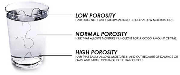 hair porosity water test