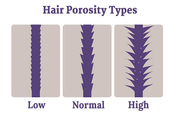Hair Porosity: What Is It and What Type Do You Have?