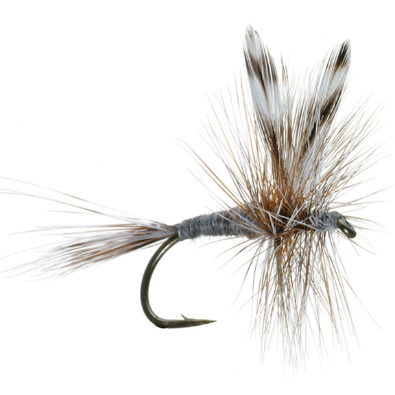 Adams Dry Fly | Mossy Creek Fly Fishing