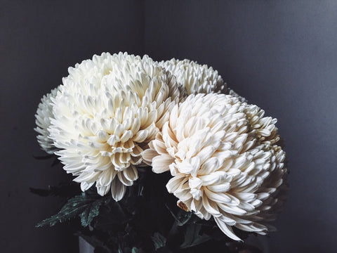 The Florté | Flowers Do Fall Blog Post | Source: Fresh_Farmhouse