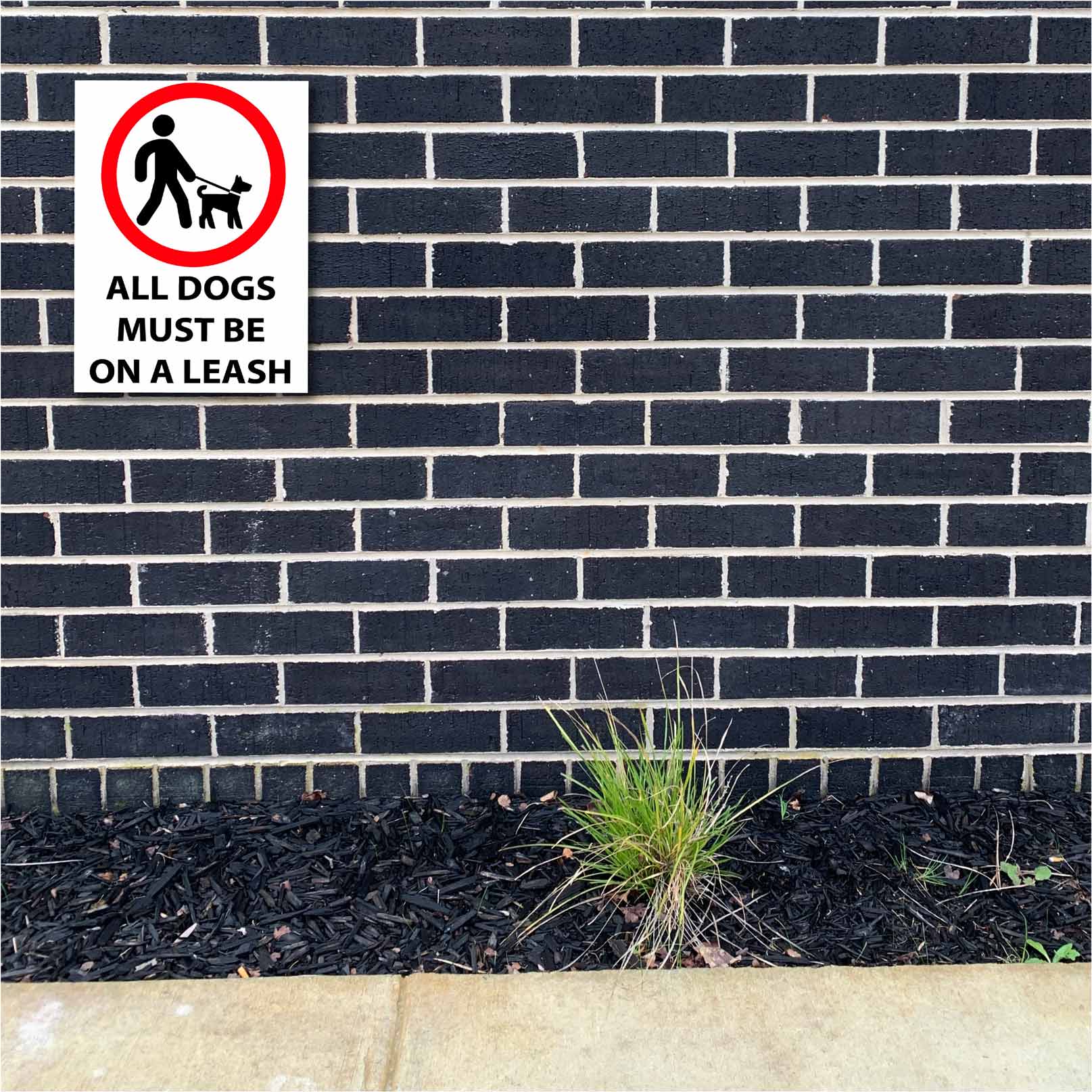 All Dogs Must Be On A Leash Sign - New Signs