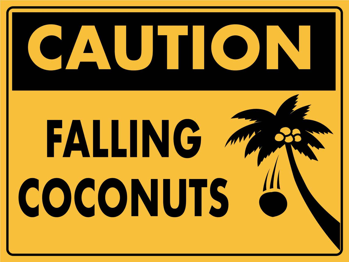 66  Caution falling coconuts shoes for Trend in 2022