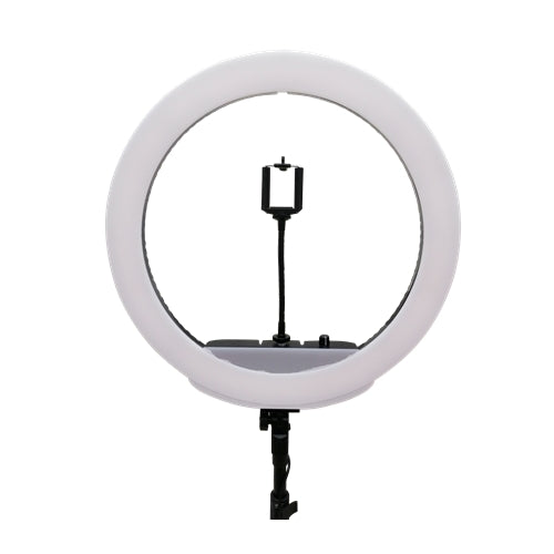 led ring light