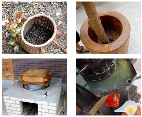 Process of extracting tsubaki oil