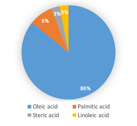 Tsubaki Oil Composition