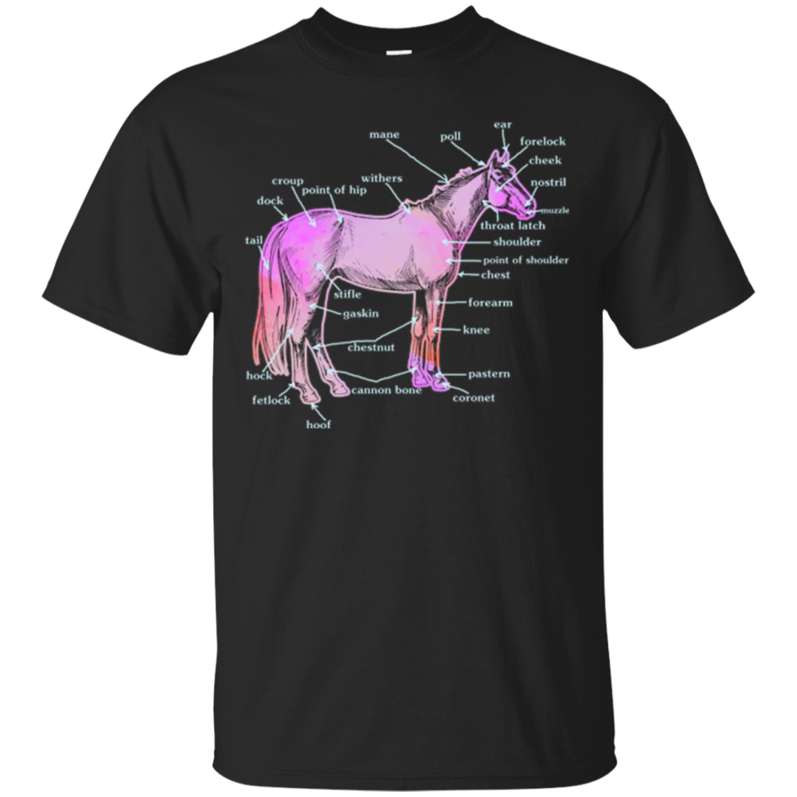 2018 Horse Tshirt - Horse Anatomy Shirt