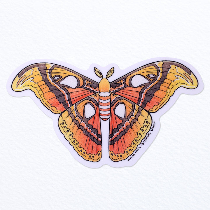 https://cdn.shopify.com/s/files/1/2440/6613/files/Botanical-Bright-Atlas-Moth-Sticker-2_720x.jpg?v=1683844247