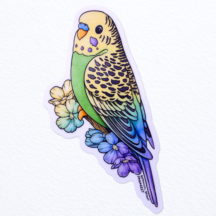 Rainbow Parakeet Waterproof Vinyl Sticker – Botanical Bright - Add a Little  Beauty to Your Everyday