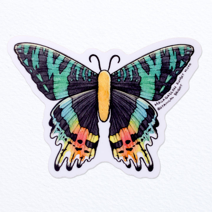 Moth Sticker, Cecropia Moth Insect Sticker, Waterproof Vinyl Art Stick -  studiotuesday