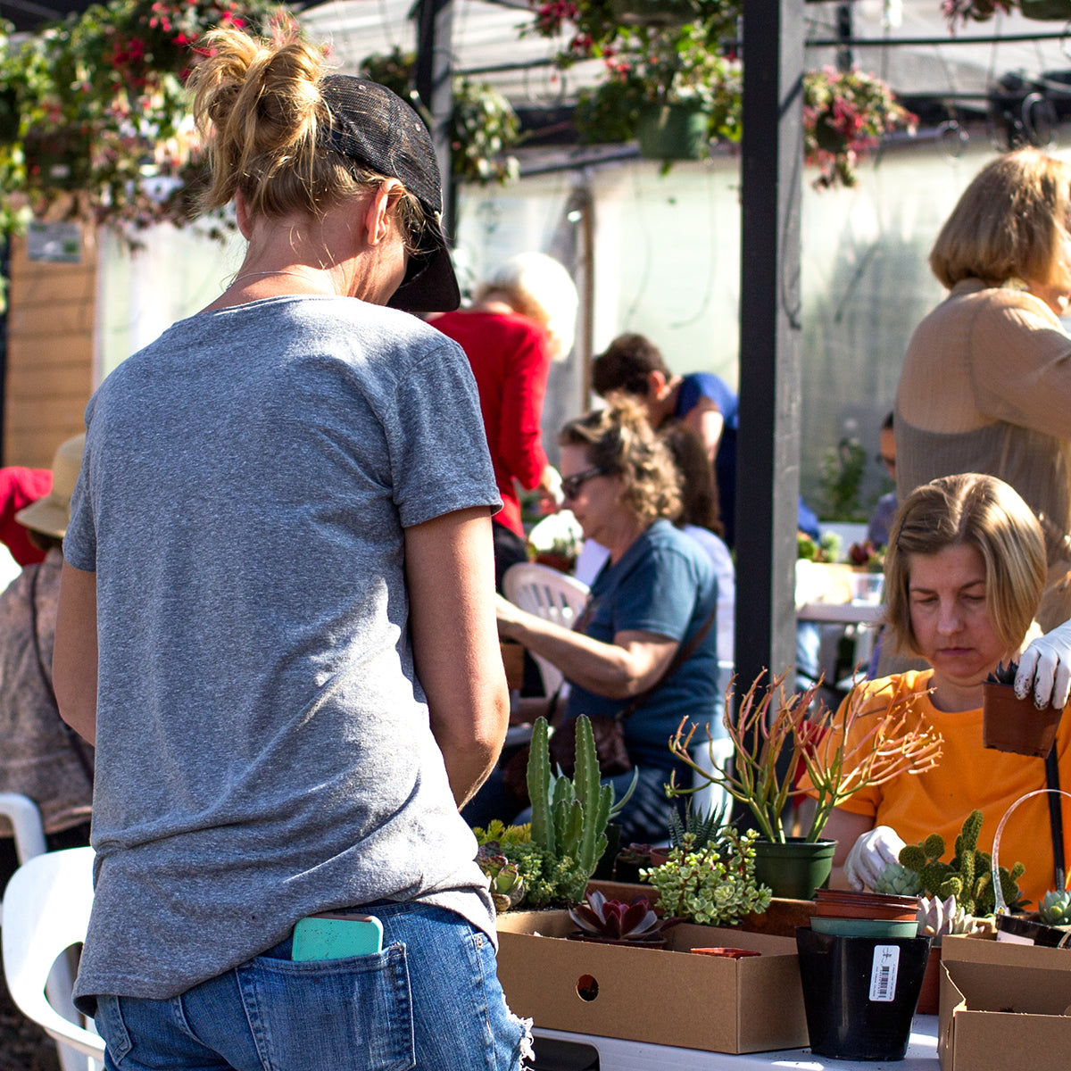 Botanical Bright - Succulent Workshop at Weidners Nursery with Mike Pyle