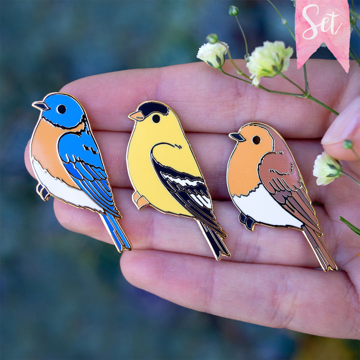 Cardinal, Blue Jay & Woodpecker Enamel Pin Set – Botanical Bright - Add a  Little Beauty to Your Everyday